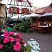 alsace-terrasse-été-kintzheim-route-du-vin